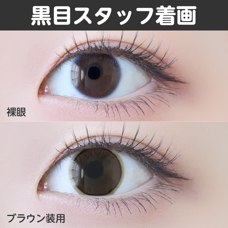 【1ヶ月】ベールリング/2p/ブラウン