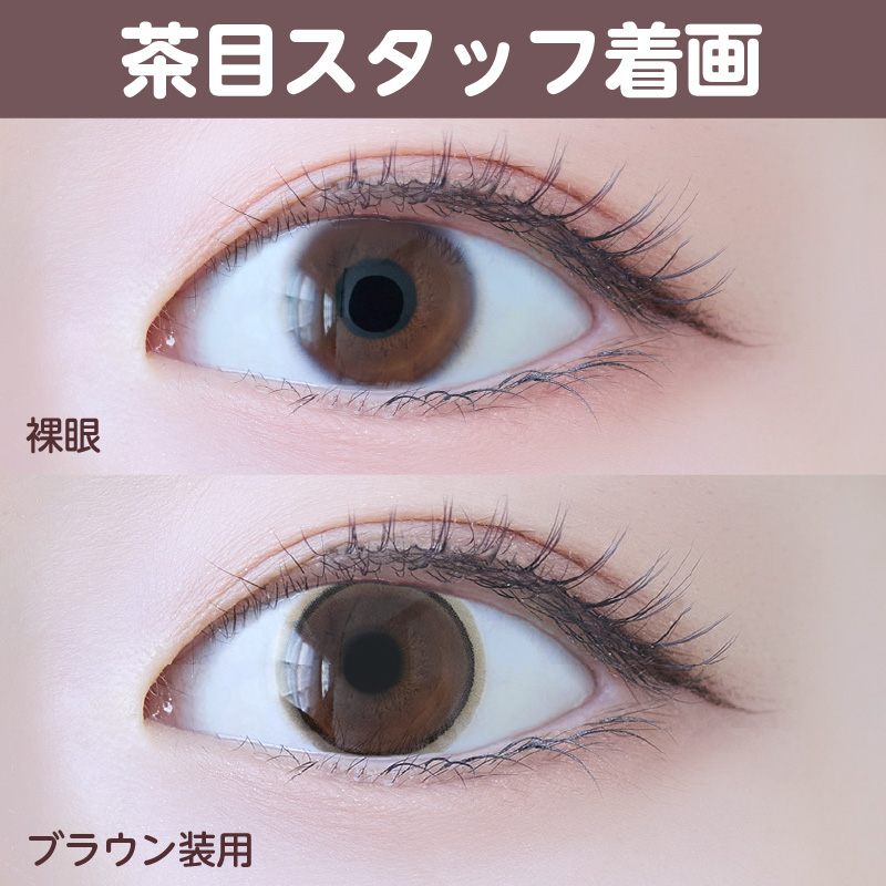 【1ヶ月】ベールリング/2p/ブラウン