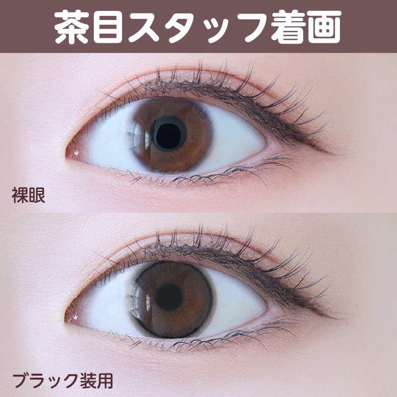 【1ヶ月】ベールリング/2p/ブラック