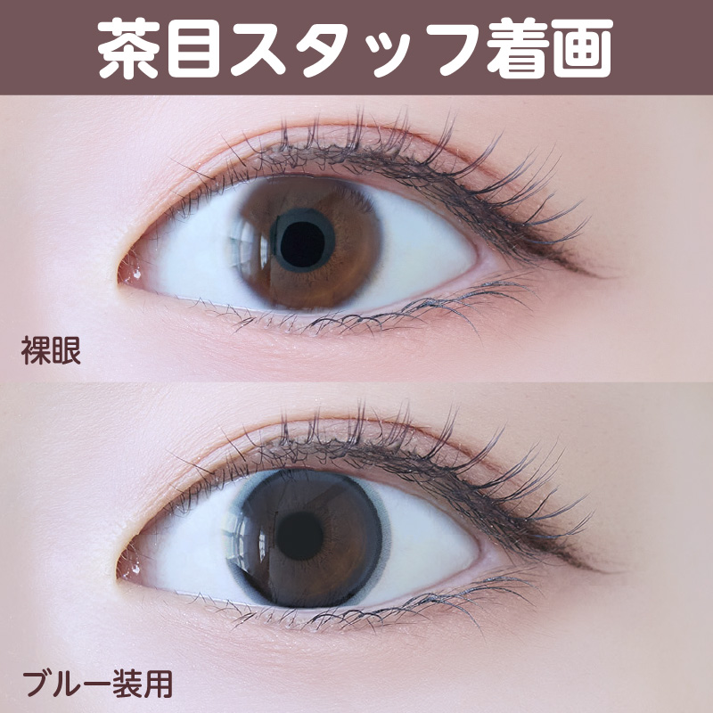 【1ヶ月】ベールリング/2p/ブルー