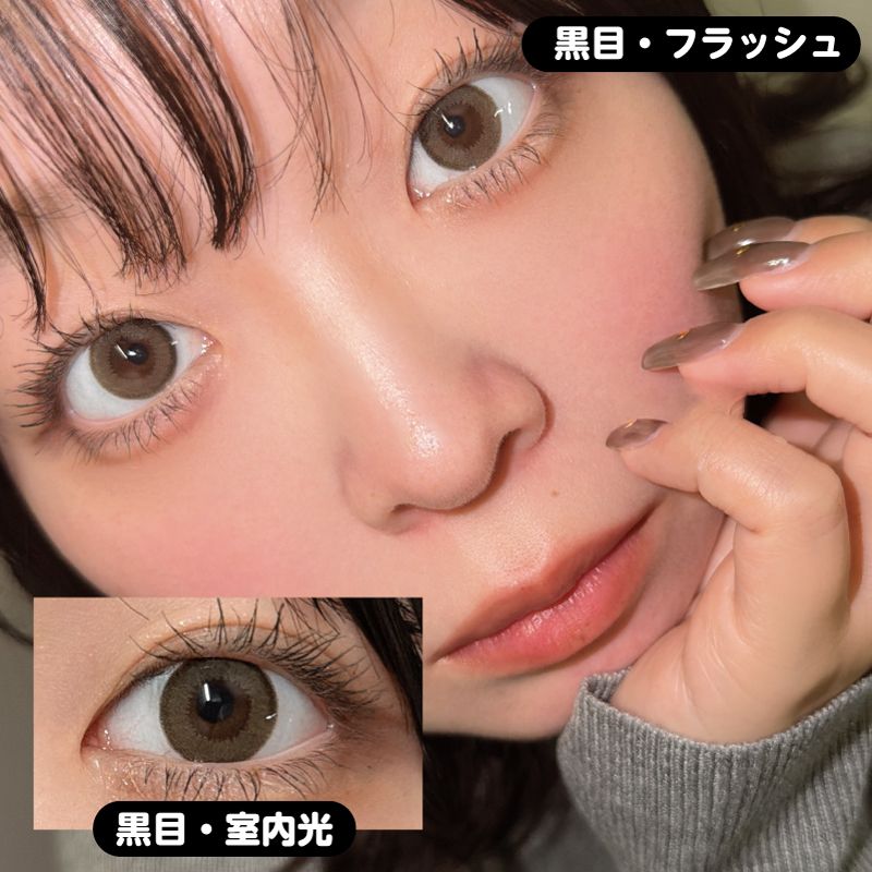 【ワンデー】インディ/10p/インディブラウン