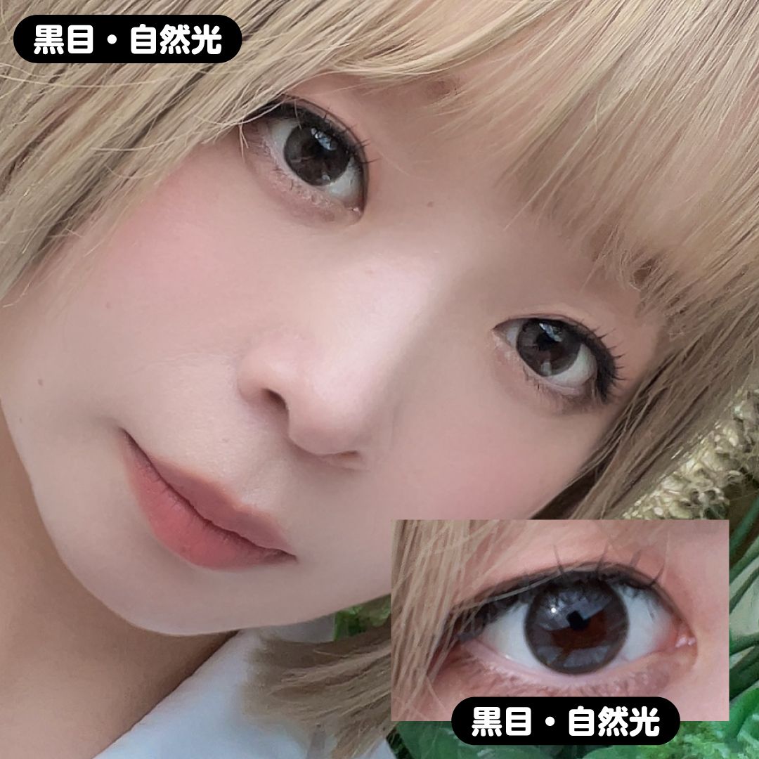 【ワンデー】インディ/10p/インディグレー